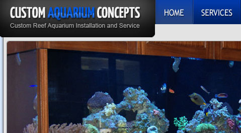 Custom Aquarium Concepts project thumbnail