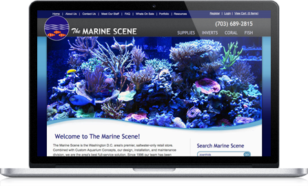 The Marine Scene UI design screenshot inside of a laptop
