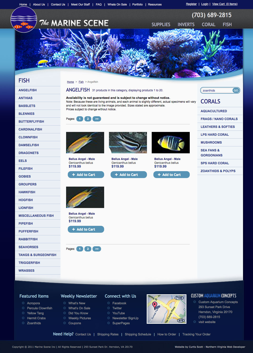 The Marine Scene UI design screenshot of the angel fish page