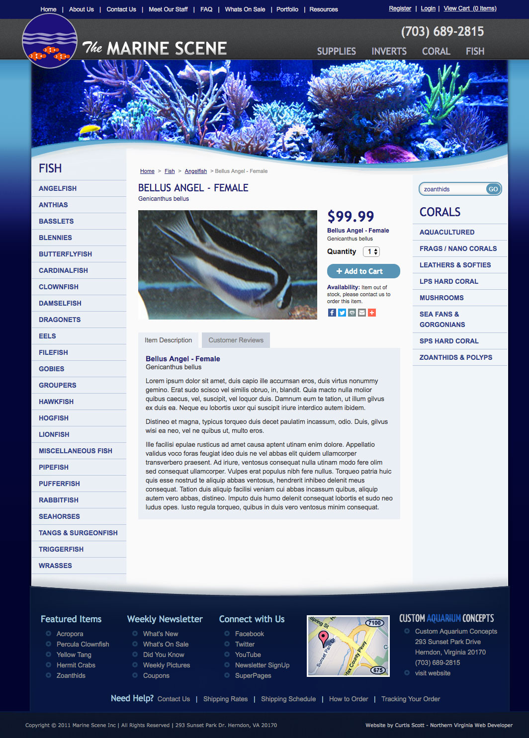 The Marine Scene UI design screenshot of the detailed angel fish page