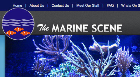 The Marine Scene project thumbnail